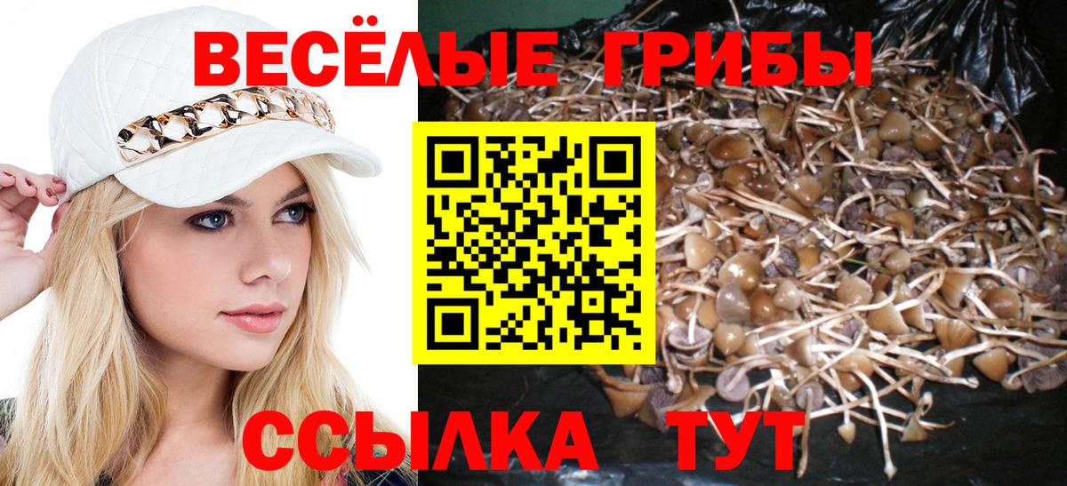Псилоцибиновые грибы Psilocybine cubensis Карабулак